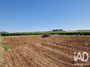 Ma-Cabane - Vente Terrain Adissan, 691 m²