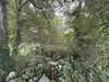 Ma-Cabane - Vente Terrain Agon-Coutainville, 3355 m²