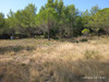 Ma-Cabane - Vente Terrain AIGNE, 30000 m²