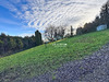 Ma-Cabane - Vente Terrain AIXE-SUR-VIENNE, 1800 m²