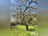 Ma-Cabane - Vente Terrain Alaigne, 584 m²