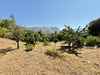 Ma-Cabane - Vente Terrain ALATA, 1110 m²