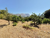 Ma-Cabane - Vente Terrain ALATA, 1110 m²