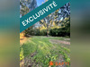 Ma-Cabane - Vente Terrain Albi, 5997 m²