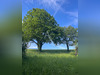 Ma-Cabane - Vente Terrain ALBI, 2981 m²