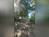 Ma-Cabane - Vente Terrain Albitreccia, 3800 m²