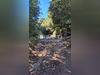 Ma-Cabane - Vente Terrain Albitreccia, 3800 m²