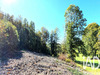 Ma-Cabane - Vente Terrain Albussac, 2500 m²
