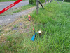 Ma-Cabane - Vente Terrain ALENCON, 1393 m²