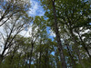 Ma-Cabane - Vente Terrain ALENCON, 185000 m²