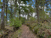 Ma-Cabane - Vente Terrain ALENCON, 185000 m²