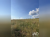 Ma-Cabane - Vente Terrain Allassac, 7987 m²