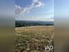 Ma-Cabane - Vente Terrain Allassac, 7987 m²