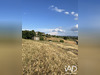 Ma-Cabane - Vente Terrain Allassac, 7987 m²