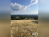 Ma-Cabane - Vente Terrain Allassac, 7987 m²