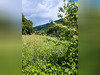 Ma-Cabane - Vente Terrain ALLEVARD, 1836 m²