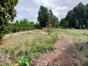 Ma-Cabane - Vente Terrain Anche, 1502 m²