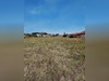 Ma-Cabane - Vente Terrain Andrest, 975 m²