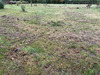 Ma-Cabane - Vente Terrain Angrie, 600 m²