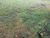 Ma-Cabane - Vente Terrain Angrie, 600 m²