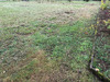 Ma-Cabane - Vente Terrain Angrie, 600 m²