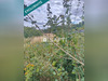 Ma-Cabane - Vente Terrain Aniche, 300 m²