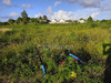 Ma-Cabane - Vente Terrain ANSE BERTRAND, 500 m²