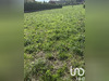 Ma-Cabane - Vente Terrain Arandon, 513 m²