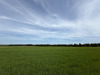 Ma-Cabane - Vente Terrain ARCEAU, 569 m²