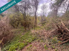 Ma-Cabane - Vente Terrain Arcy-Sainte-Restitue, 5500 m²