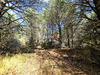 Ma-Cabane - Vente Terrain Argelès-sur-Mer, 2645 m²
