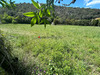 Ma-Cabane - Vente Terrain Arles-sur-Tech, 1501 m²