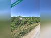 Ma-Cabane - Vente Terrain Arles-sur-Tech, 3989 m²