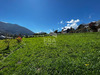 Ma-Cabane - Vente Terrain ARRAS-EN-LAVEDAN, 760 m²