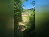 Ma-Cabane - Vente Terrain ARS SUR MOSELLE, 6835 m²