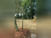 Ma-Cabane - Vente Terrain Arsac, 1192 m²
