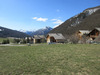 Ma-Cabane - Vente Terrain Arvieux, 1032 m²