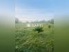 Ma-Cabane - Vente Terrain Asnieres-la-Giraud, 916 m²