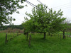 Ma-Cabane - Vente Terrain AUBAS, 10164 m²