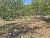 Ma-Cabane - Vente Terrain AUBENAS, 1205 m²