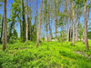 Ma-Cabane - Vente Terrain AUBERIVE, 1831 m²