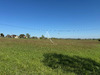 Ma-Cabane - Vente Terrain AUBIET, 33000 m²