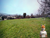 Ma-Cabane - Vente Terrain Avanne-Aveney, 820 m²