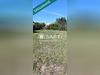 Ma-Cabane - Vente Terrain Avoine, 605 m²