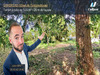 Ma-Cabane - Vente Terrain AVON, 502 m²