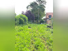 Ma-Cabane - Vente Terrain Avrechy, 410 m²