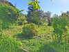 Ma-Cabane - Vente Terrain Ayse, 512 m²