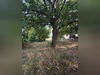 Ma-Cabane - Vente Terrain BALAN, 280 m²