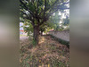 Ma-Cabane - Vente Terrain BALAN, 280 m²