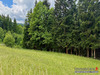 Ma-Cabane - Vente Terrain Ban-de-Laveline, 1792 m²